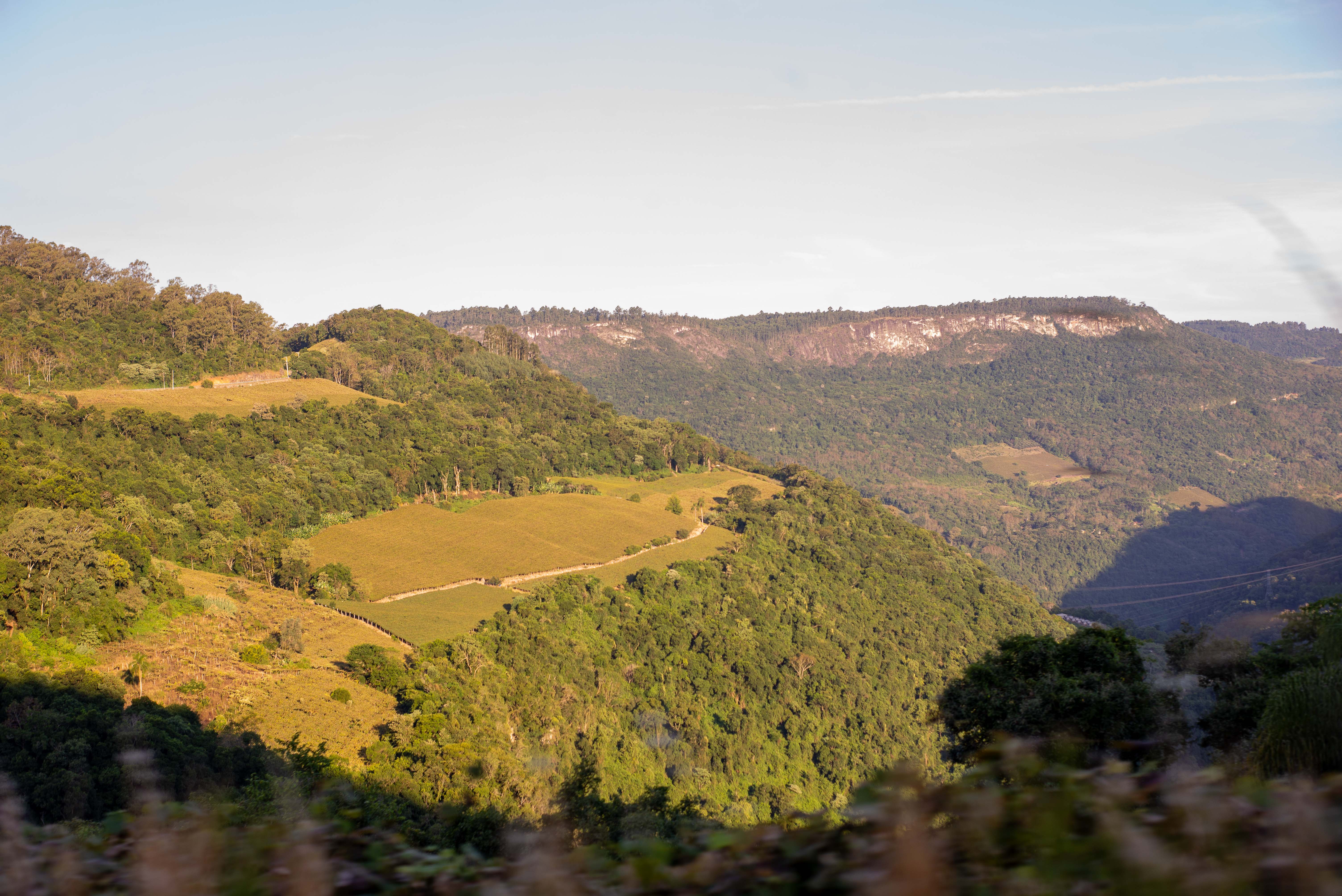 Natureza