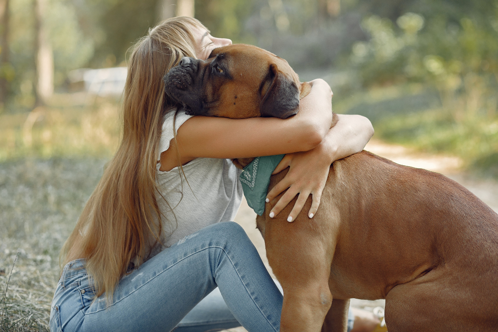 Os Benefícios Emocionais da Fotografia com Pets